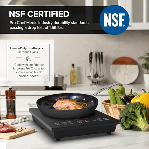Portable Induction Cooktop