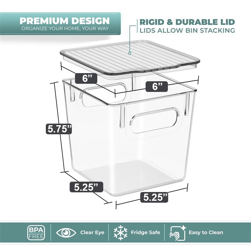 Clear Toy Storage Bins with Lids (2 Count)