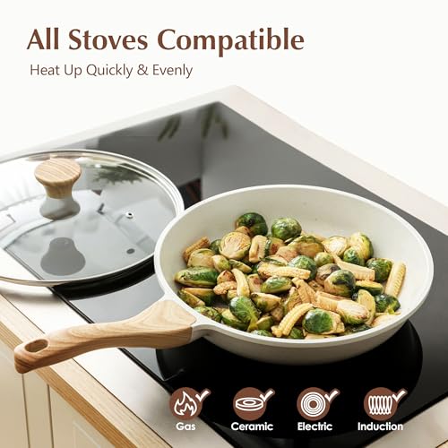 9.5Inch Nonstick Ceramic Frying Pan with Lid