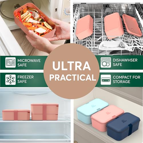 Lunch Box Containers w
