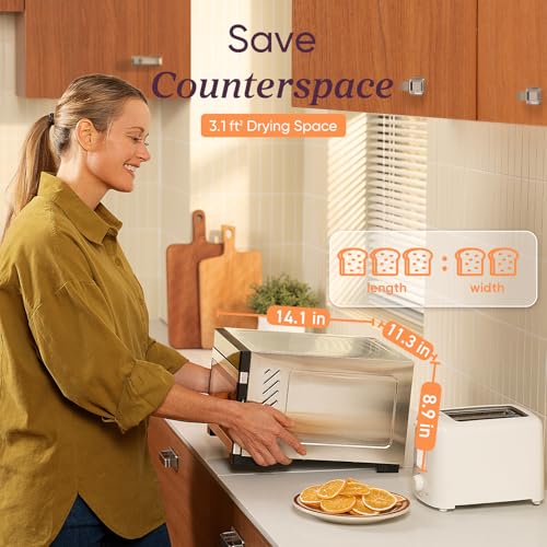 Food Dehydrator (Silver / 5 Trays (3.1ft² Drying Space))