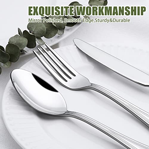 60 Piece Silverware Set for 12 (60 Piece)