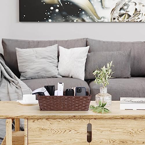 Plastic Wicker Storage Baskets (2 Count)
