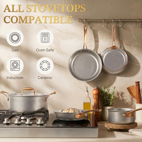 Vintage 10 Pcs Stainless Steel Pots and Pans Set Non Toxic (10 Piece)