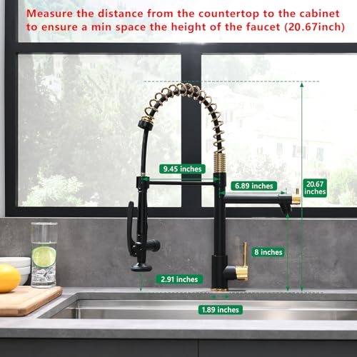 Black&Gold Kitchen Faucet with Sprayer (Black&Gold)