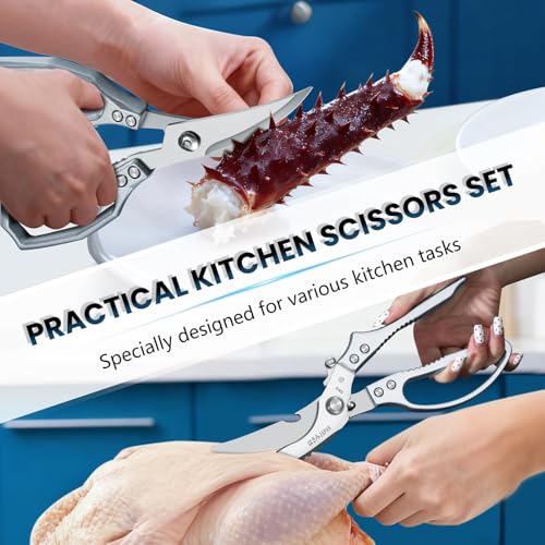 Silver Kitchen Scissors Set (Silver / 2)