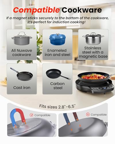 Portable Induction Cooktop Diamond with Probe (PIC Diamond)