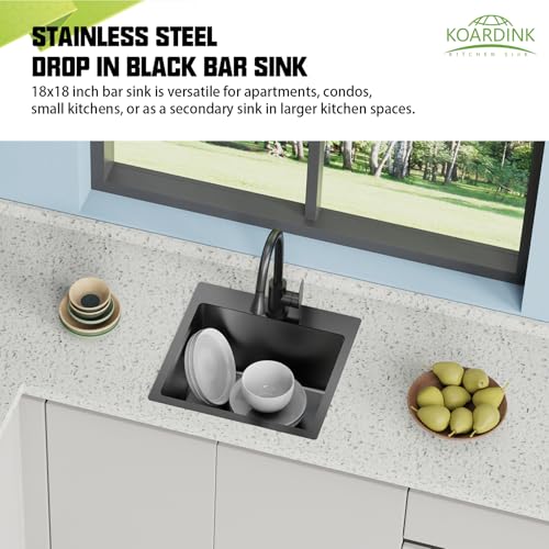 Black 18x18 In Drop In Kitchen And Bar Sink (18x18 Black)