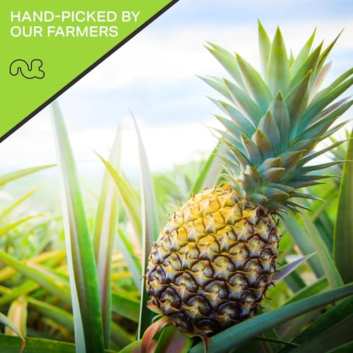 Dried Pineapple Chunks (Dried Pineapple Chunks / 80 oz)