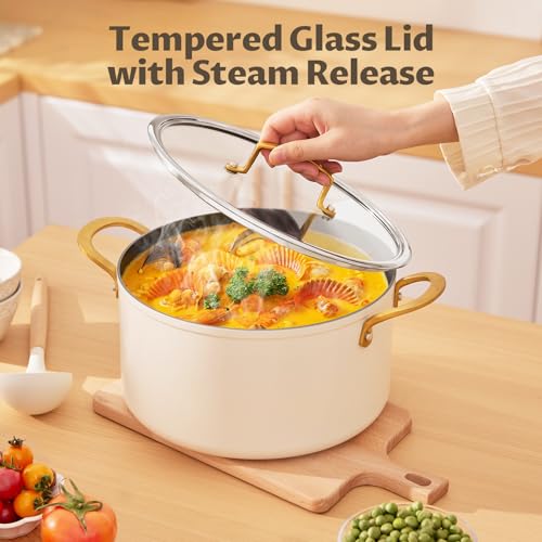 8QT Ceramic Non Stick Stock Pot with Lid