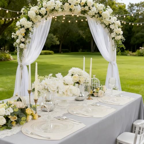 100PCS Clear Plastic Plates with Silver Beads for Bridal Showers (Silver and Clear Plastic Plates / 100PCS)