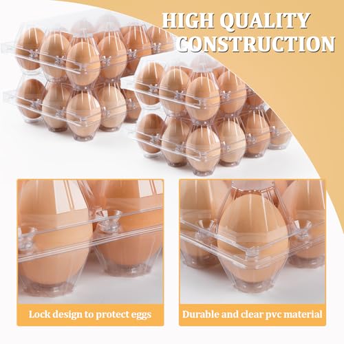 60 Pack Plastic Egg Cartons 12 Count (60 Count)