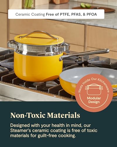 Steamer Stainless Steel Steamer with Handles (Stainless Steel / Small (3qt))