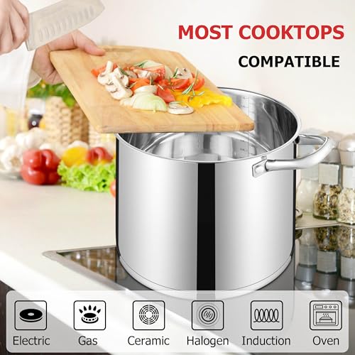12 QT Stock Pot with Lid (12 Quarts)