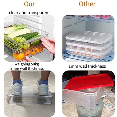 2 Pack Deli Meat Container for Fridge (Tray-L)