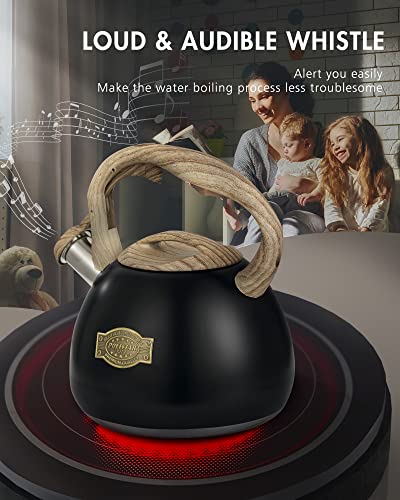 POLIVIAR Tea Kettle (2.7 Quarts / Black Ti-N)