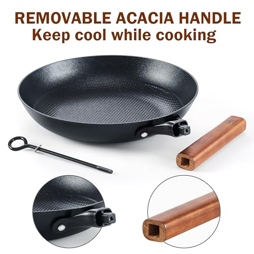 Cast Iron 10 Inch Nonstick Skillets
