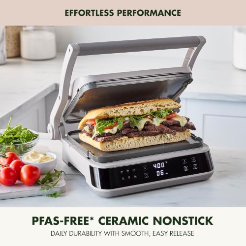 Advanced Grill & Griddle (Contact Grill / Clay)
