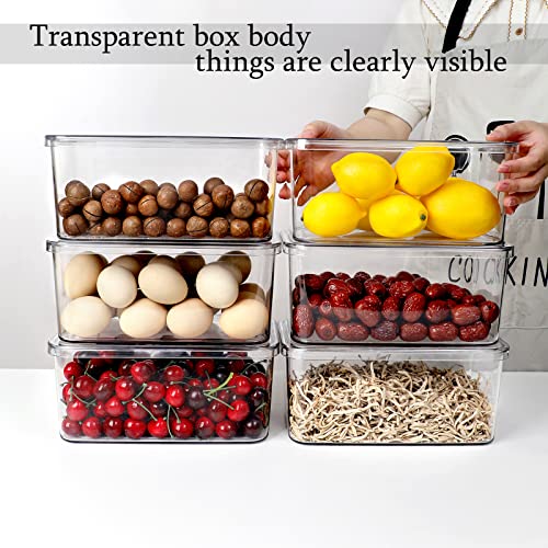 Clear Storage Bins With Lids (4S)