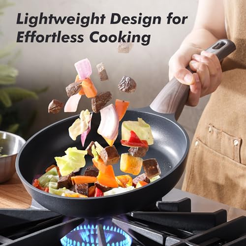11Inch Nonstick Frying Pan Paella Pan (11 Inch / DARK Black)
