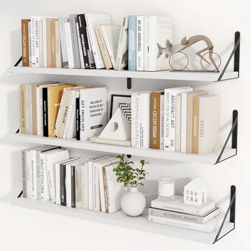 Floating Book Shelves for Wall