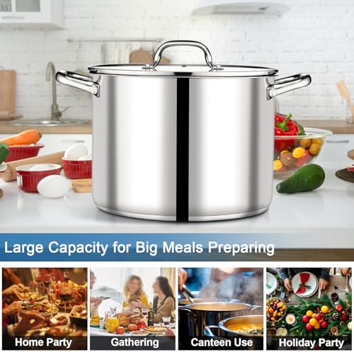 16 QT Stainless Steel Stock Pot with Lid (16 Quarts)