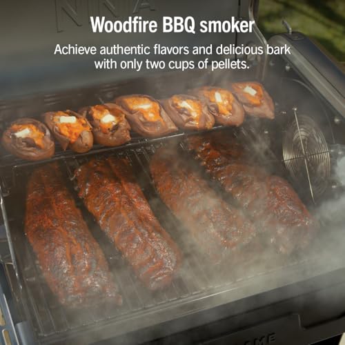FlexFlame Grill & Smoker (Black)