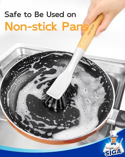 Dish Brush with Handle (2 Count)