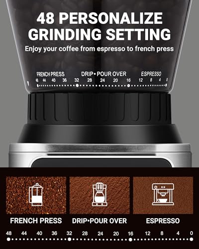 Burr Coffee Grinder (Metallic Silver)