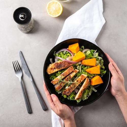 9.75'' Large Ceramic Pasta Bowls (Matte Black / Set of 6)