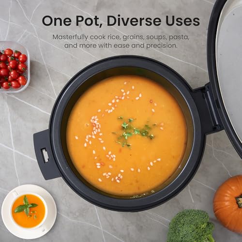 Commercial Rice Cooker and Warmer