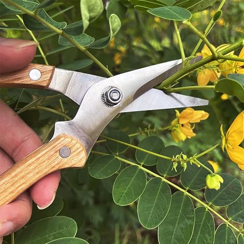 Wood Handle Garden Shears (8"WoodHandleShears(E011))