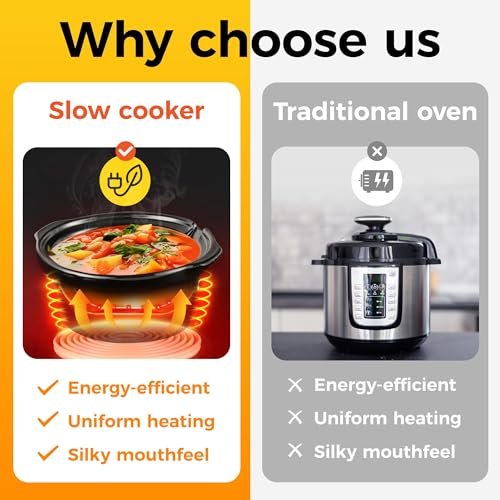 Double Slow Cooker