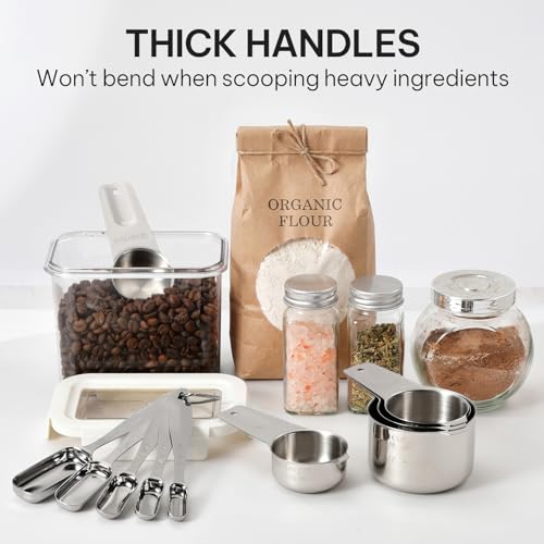 Stainless Steel Measuring Cups and Spoons Set of 10 (Spoons&Cups - Set of 10)