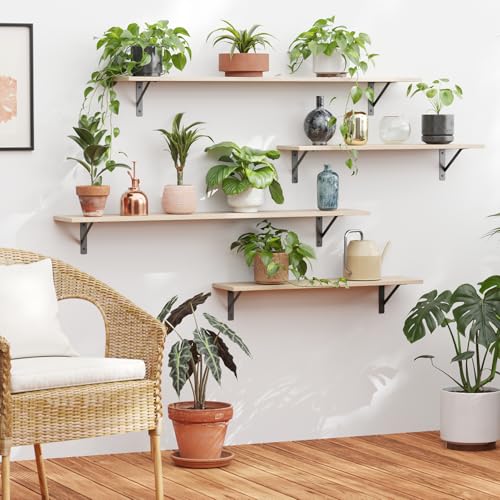 Long Wall Shelves (Natural / 31.5 Inch)
