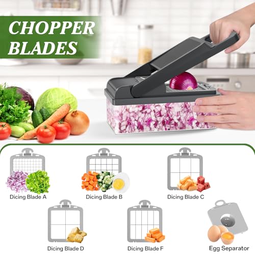 Veggie Chopper Vegetable Cutter (Gray / 10 blades)