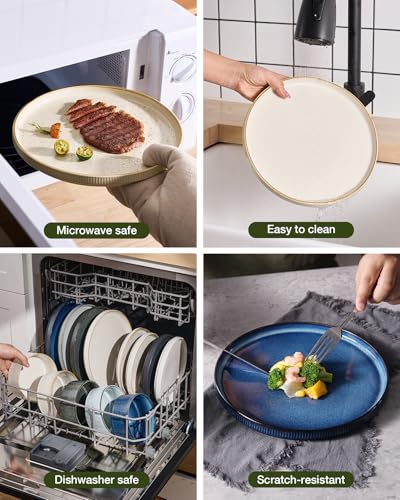 Star Stoneware Dinnerware Sets with Pasta Bowls (White)