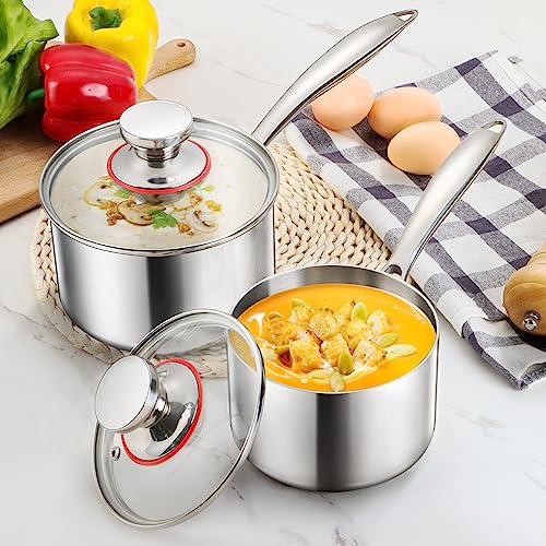 Triply Stainless Steel Saucepan Set (1QT & 3QT)