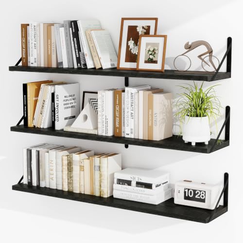 Floating Book Shelves for Wall