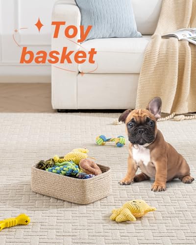 Small Woven Storage Basket for Organizing (Mixed Brown / 12"L x 8"W x 4.5"H)
