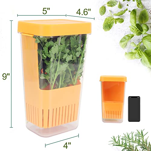 Fresh Herb Keeper for Refrigerator (Herb Keeper - Orange)
