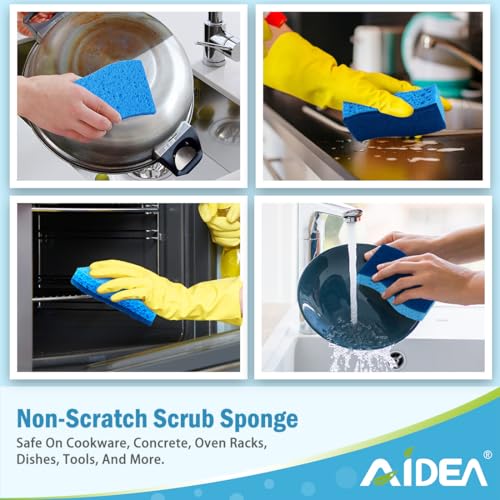 Sponges Kitchen (Blue)