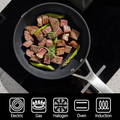 9.5 Inch Nonstick Frying pan with Lid (9.5-Inch)