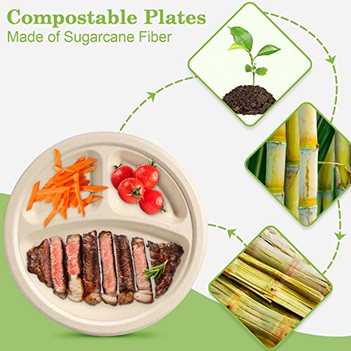 9 Inch Compartment Paper Plates (9 inch sectional 50 pack)