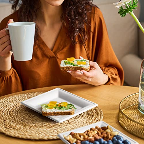 Samll Compostable Square Paper Plates 6 Inch 100 Pack Disposable (White / 6-inch 100 pack)