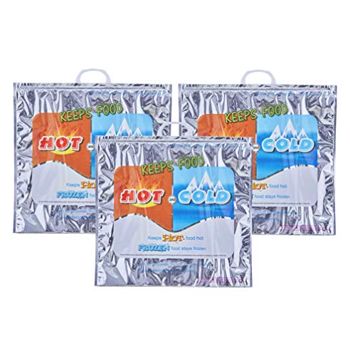 Hot and Cold Insulated Bags for Food Delivery