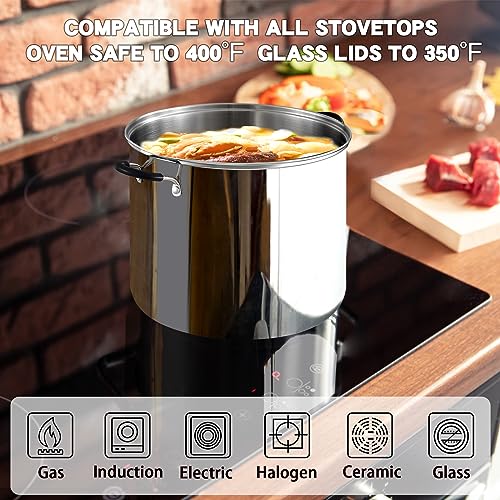 Professional 12 Quart Stainless Steel Stock Pot with Lid