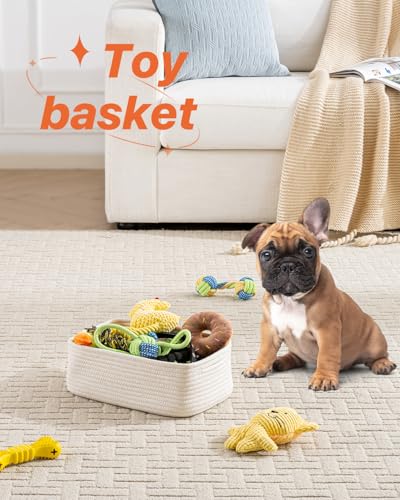 Small Woven Storage Basket for Organizing (Off White / 12"L x 8"W x 4.5"H)