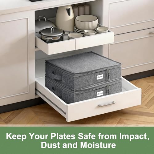 Platter Storage Case