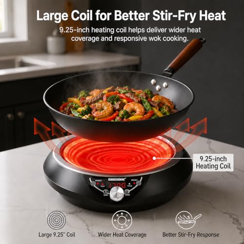 1700W Induction Wok Burner 100